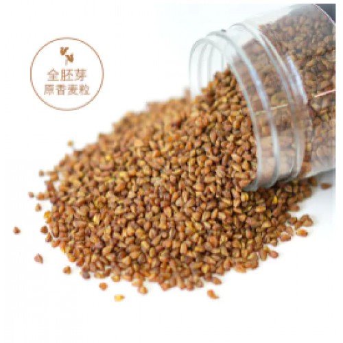 买一送一【黑苦荞茶 400g/罐】| 来自高山的黑珍珠，营养丰富，喝出健康