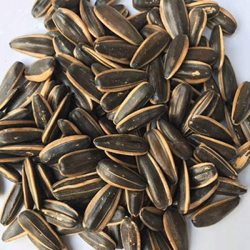 兴龙禹难吃的瓜子 老牌核桃味瓜子休闲食品年货必备 480g袋装