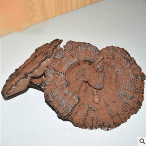 “六贵本草堂”福建武平椴木 紫灵芝 整朵装 2个装