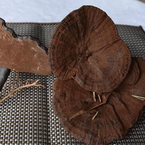 “六贵本草堂”福建武平椴木 紫灵芝 整朵装 1个装