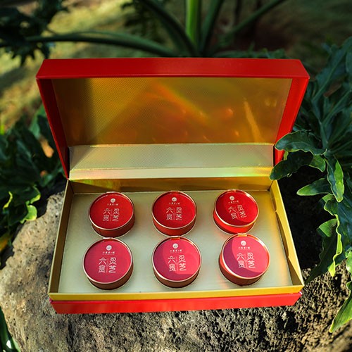 六贵灵芝 武芝2号切片  林下椴木紫灵芝茶 入口清香 6罐×8g