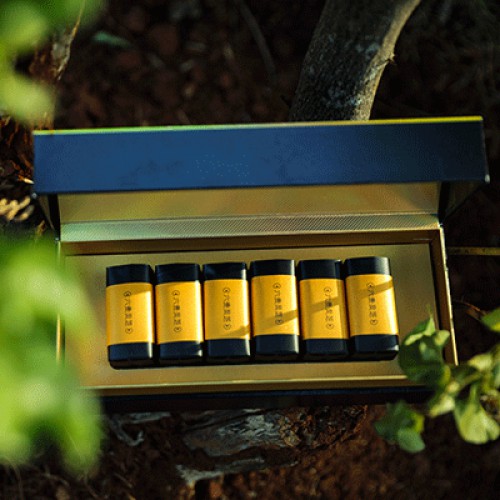 六贵灵芝 武芝2号 林下椴木紫灵芝茶 入口清香 6泡×8g