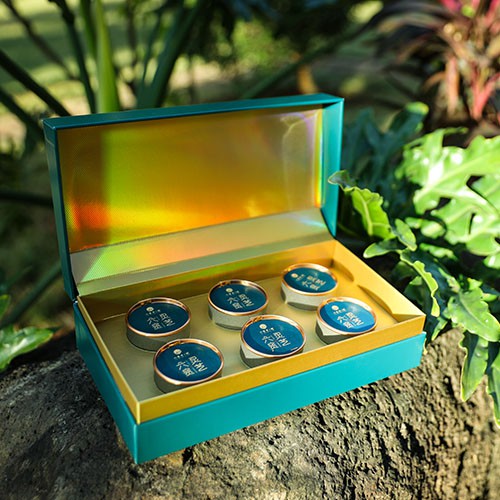 六贵灵芝 武芝2号切片  林下椴木紫灵芝茶 入口清香 6罐×8g