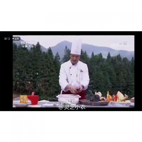 六贵灵芝 武芝2号 林下椴木紫灵芝茶 入口清香（6小罐×8g +40g×1大罐）