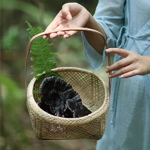 六贵灵芝 武芝2号切片  林下椴木紫灵芝茶 入口清香 6罐×8g