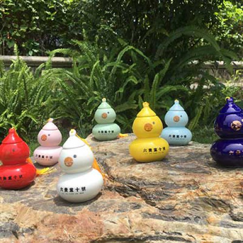 五气六贵枣  七色葫芦娃十年老金枣一瓶60克白色