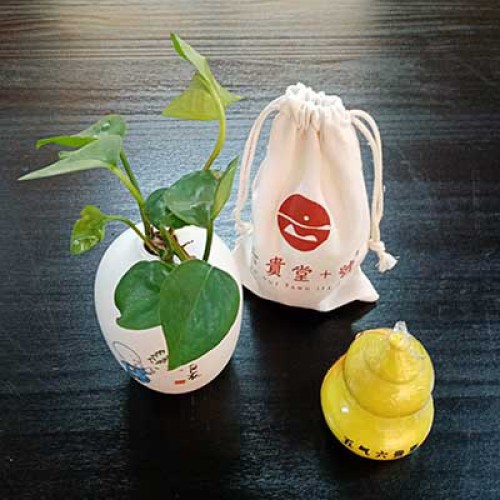 五气六贵枣  七色葫芦娃十年老金枣一瓶60克黄色