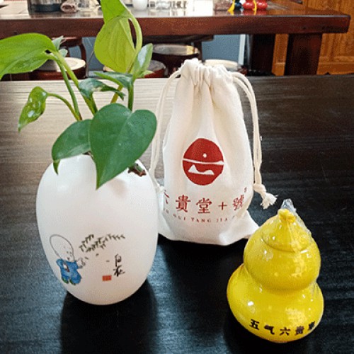 五气六贵枣  七色葫芦娃十年老金枣一瓶60克黄色