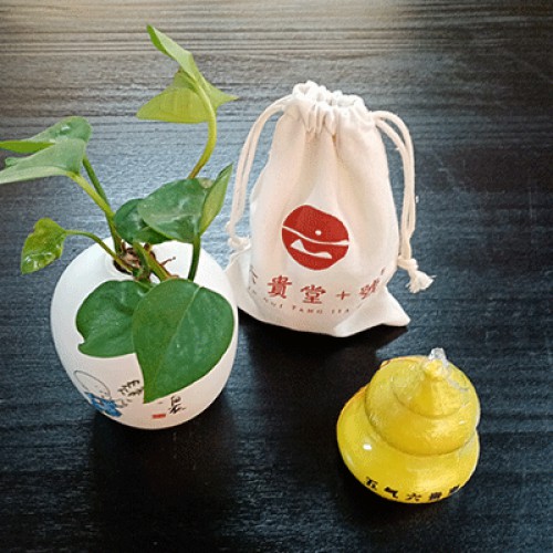 五气六贵枣  七色葫芦娃十年老金枣一瓶60克红色