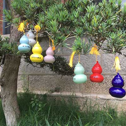 五气六贵枣  七色葫芦娃十年老金枣一瓶60克青色