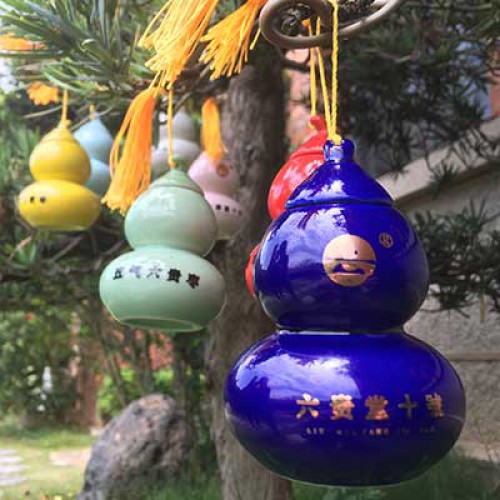 五气六贵枣  七色葫芦娃十年老金枣一瓶60克绿色