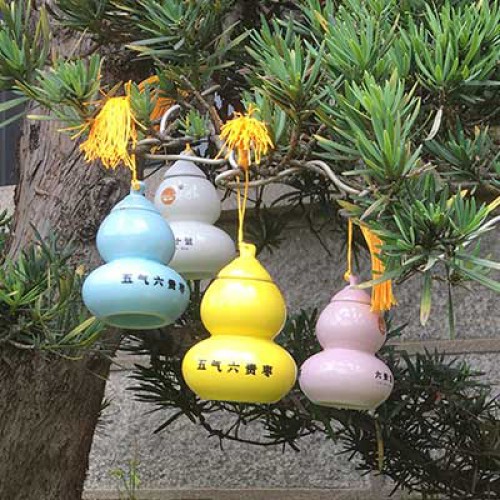 五气六贵枣  七色葫芦娃十年老金枣一瓶60克粉红色