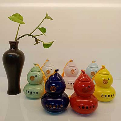 五气六贵枣 一瓶60克红色（98品米）