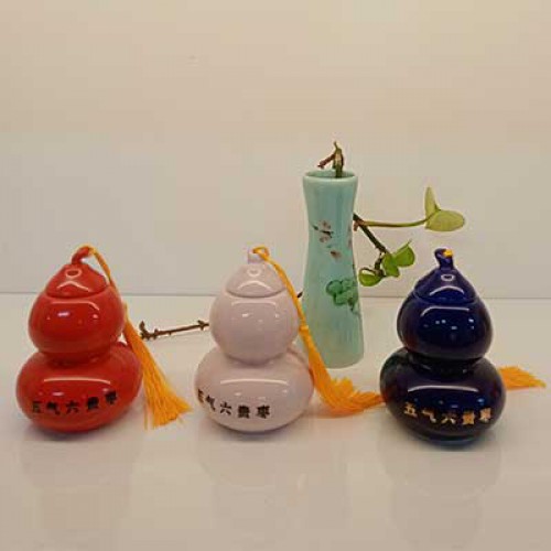 五气六贵枣 一瓶60克紫色（98品米）