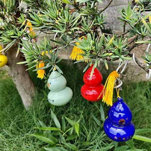 五气六贵枣 一瓶60克紫色（98品米）