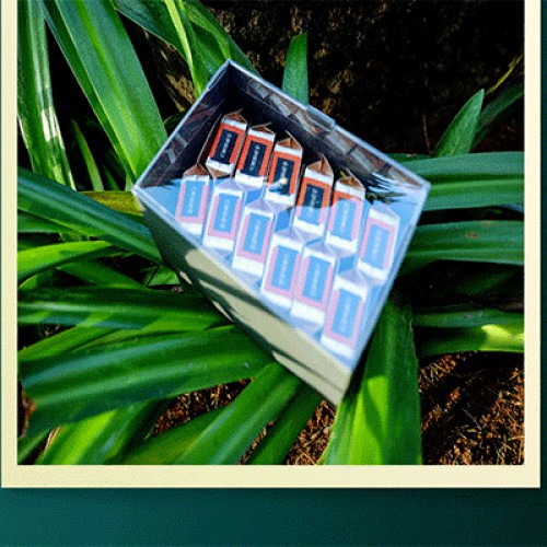 六贵灵芝 紫灵芝茶 入口清香 12泡×8g深空灰 （512品米）