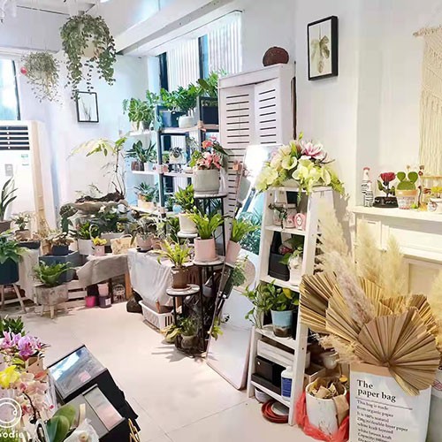 洛神玫瑰花束 白荔枝玫瑰  香槟粉 雪山玫瑰